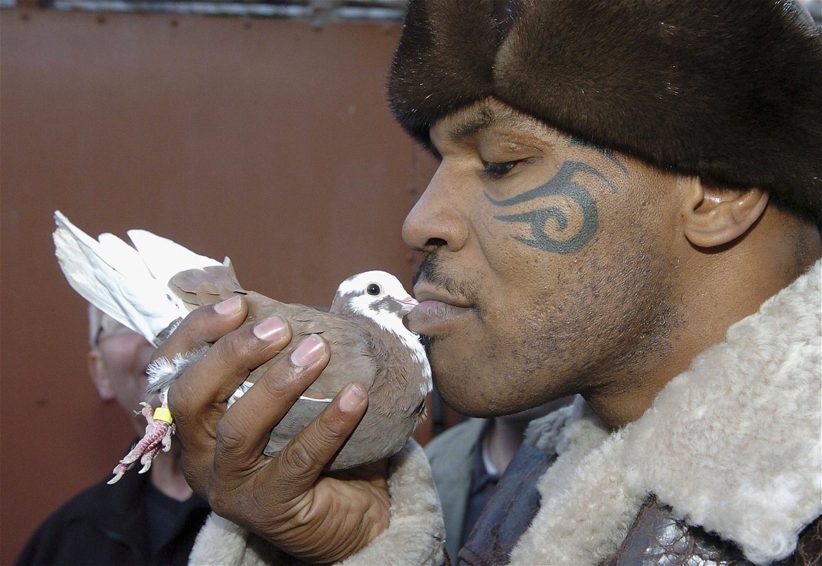 Semanas después de predecir que moriría junto a sus adoradas palomas, al emotivo Mike Tyson se le llenan los ojos de lágrimas mientras habla de su “animal de poder” en un video publicado recientemente