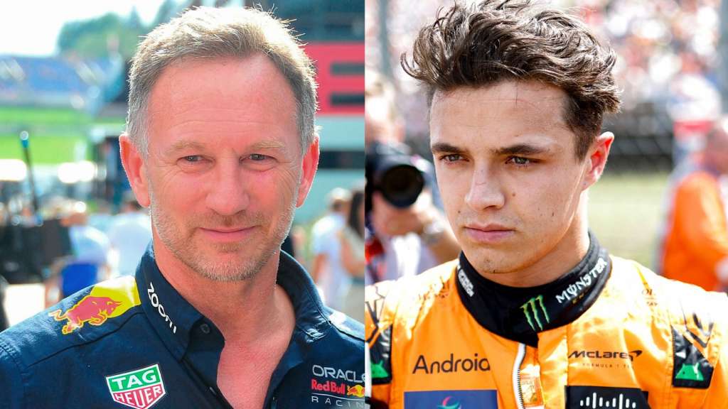 El director del equipo Red Bull, Christian Horner, sugiere que McLaren debería haber dejado que Lando Norris ganara el Gran Premio de Hungría | Noticias de F1 | Sky Sports