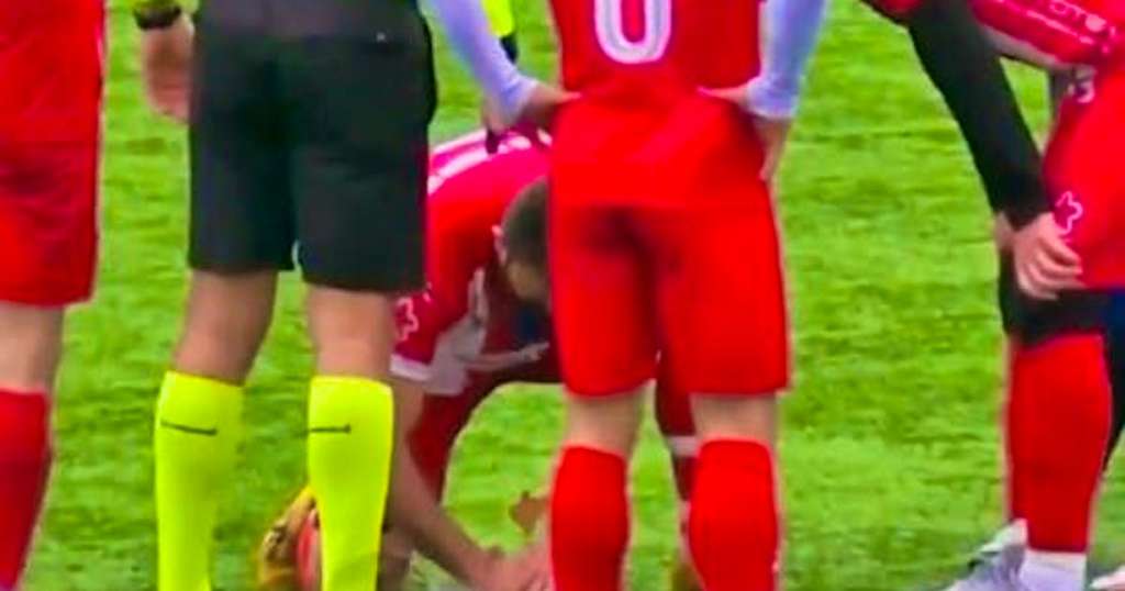 Durante una partita di calcio: Portiere rinvia la palla e colpisce un gabbiano, il capitano lo rianima in campo | noticias azules